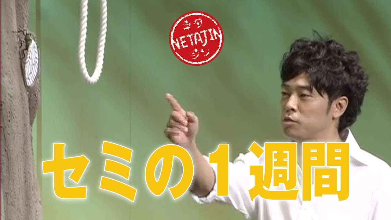 陣内智則【コント セミの１週間】 - YouTube
