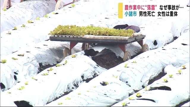 農作業中に“落雷”　男性死亡・女性重体　外国人労働者か　近くの農家「危ないので家に」気象台が注意喚起（NBS長野放送） - Yahoo!ニュース