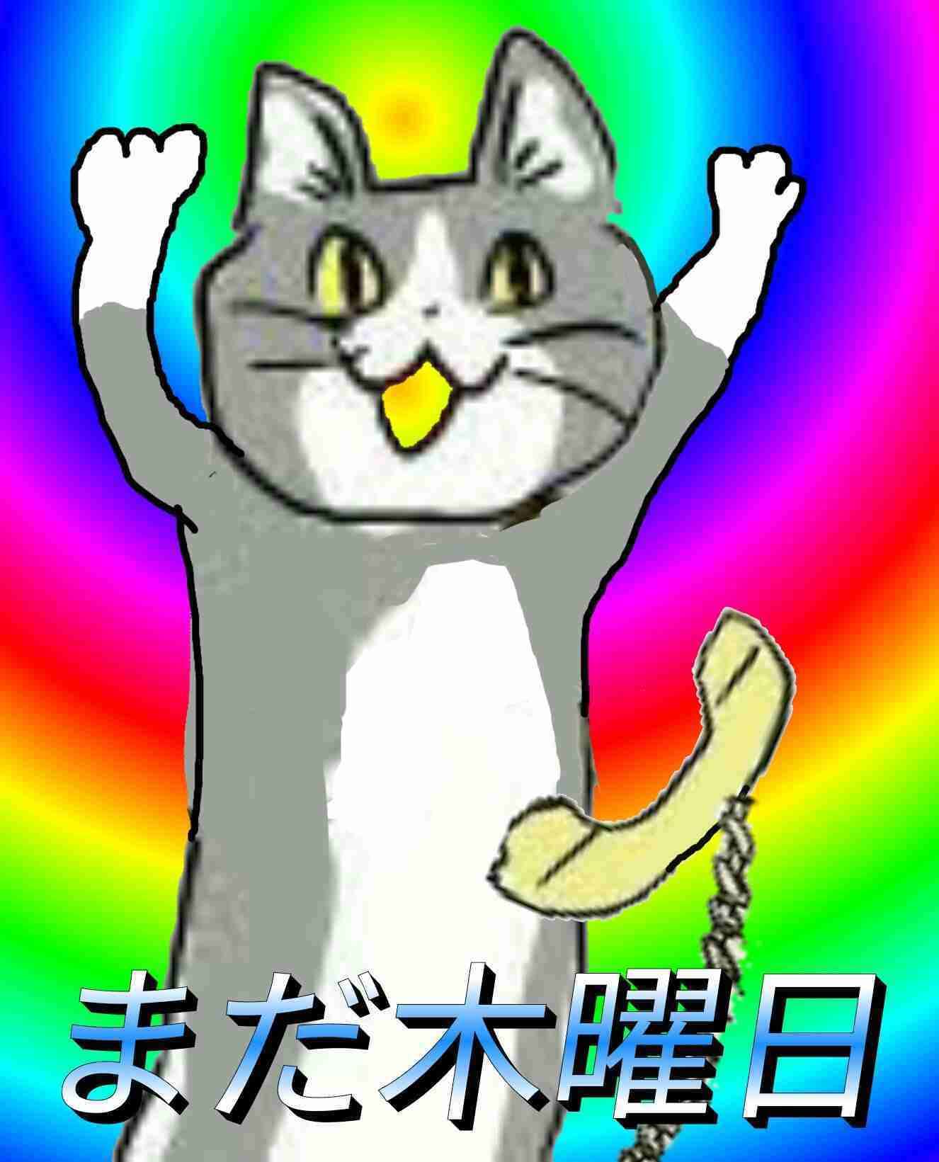 夏だから皆で現場猫を愛でたい！