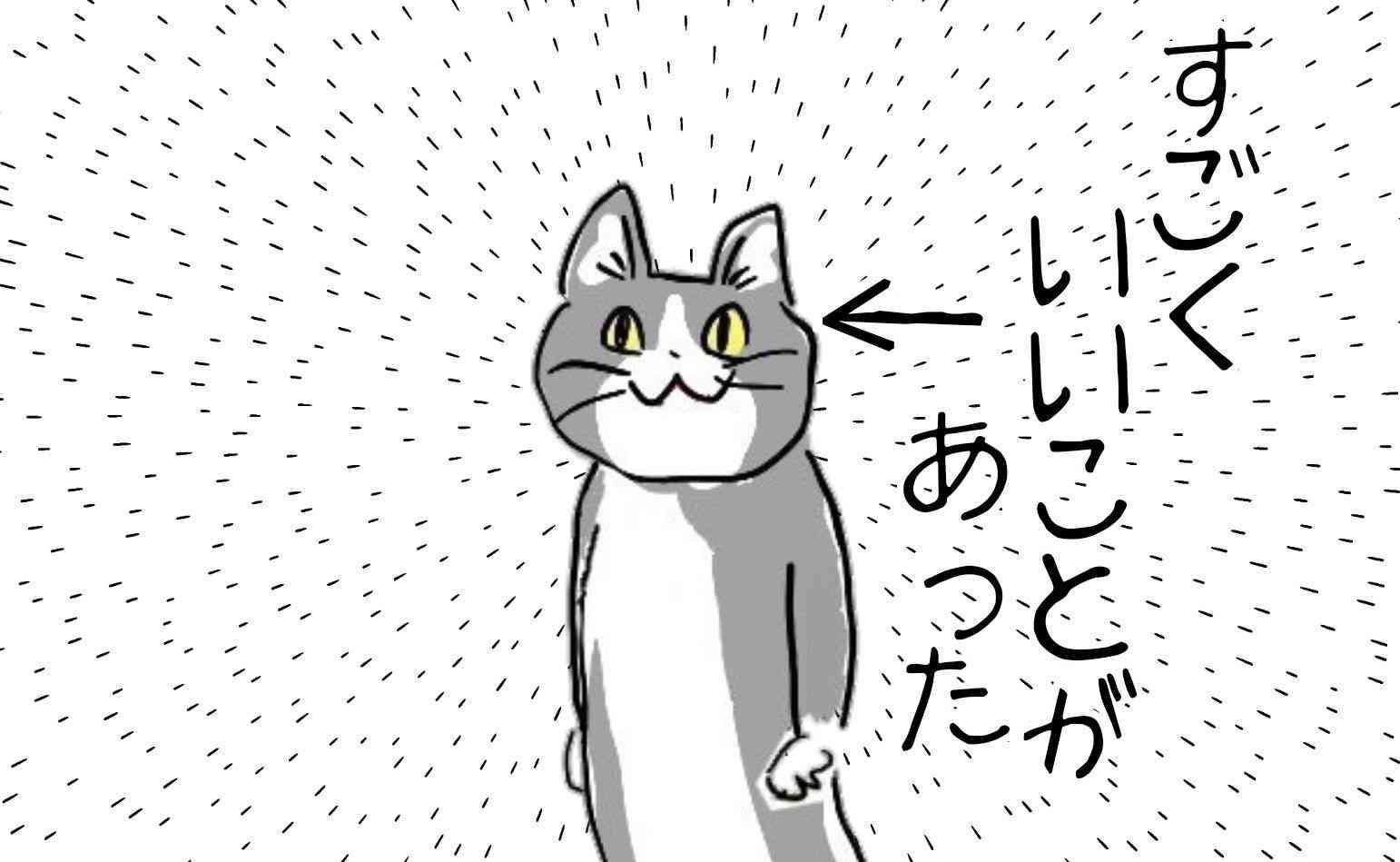 夏だから皆で現場猫を愛でたい！