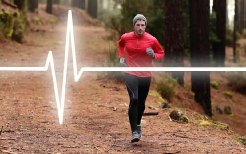 痩せる有酸素運動は心拍数がカギ？！効率よく体脂肪が燃える回数を確認しよう | OKIRESI（オキレジ）