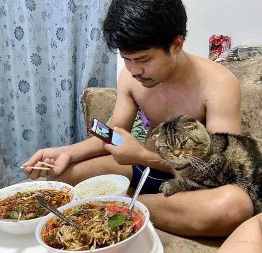 「猫に夫を奪われました」そう語る妻の嘆きを証拠写真と共にご覧ください
