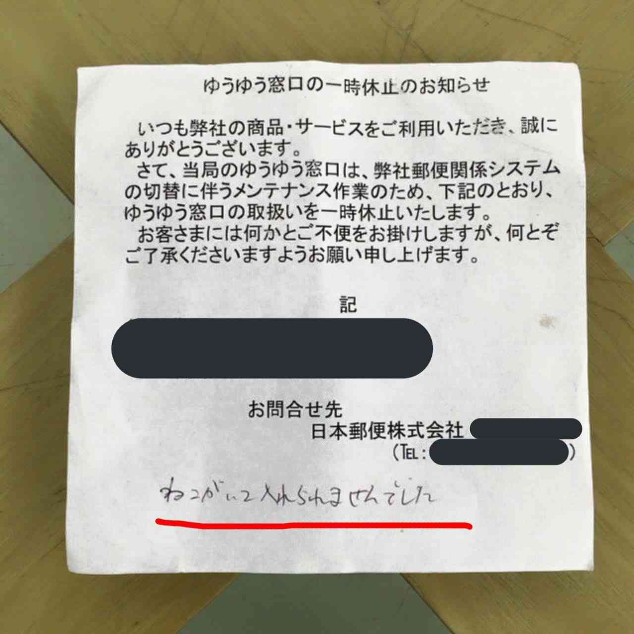 郵便の不在票に『猫がいて入れられない』との記載。実際に試すと…!?