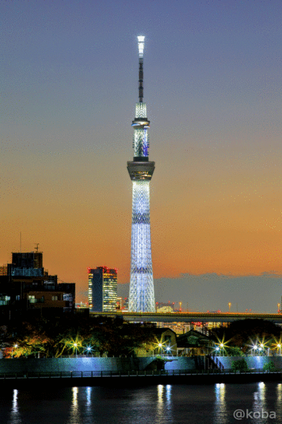 好きな夜景の画像が集まるトピ