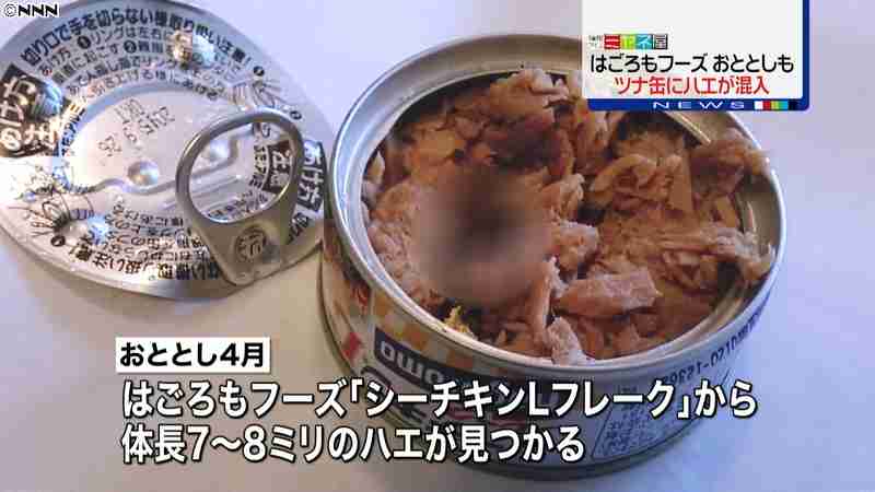 宮崎あおい 第2子妊娠していた！すでに安定期で年内出産予定