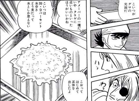 感染したらほぼ助からない「脳を食べる殺人アメーバ」で13歳少年が死亡(米)