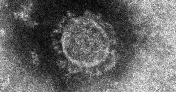 コロナ感染後に川崎病　1歳男児発症、国内で初確認　海外で類似ケース - 毎日新聞
