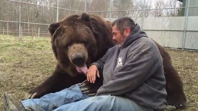 人間と動物のツーショット