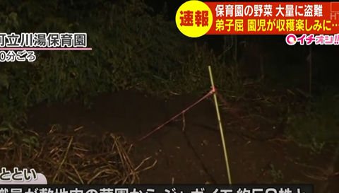 【北海道】保育園で園児が植えて収穫を楽しみにしていた野菜が大量に盗まれる・・・ニンジンやジャガイモなど（動画あり） : ツイッター速報