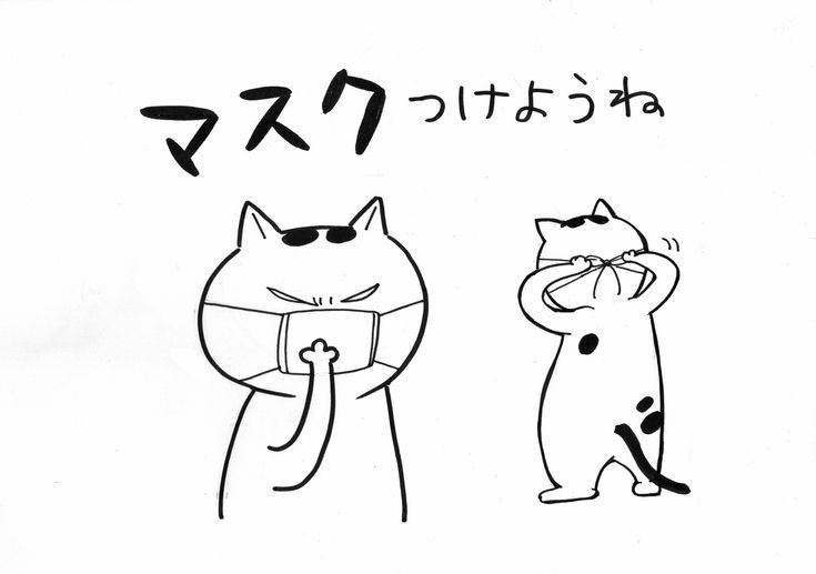 スマホに保存している一番新しい画像を見せてください