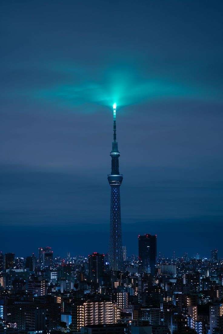 好きな夜景の画像が集まるトピ