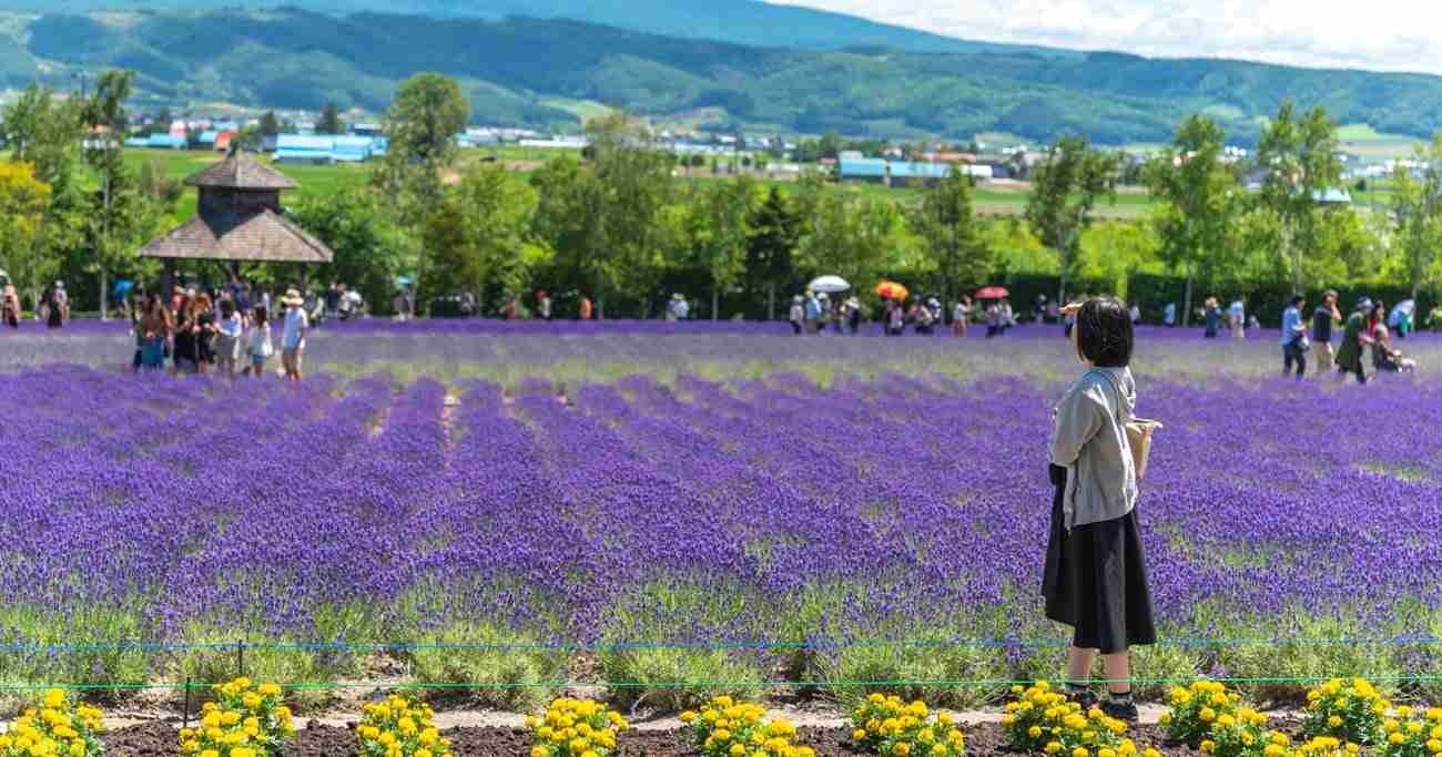 コロナ後に観光で行きたい都道府県ランキング【2020完全版】 | 日本全国ご当地ランキング | ダイヤモンド・オンライン