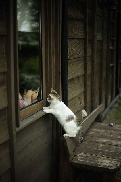 人間と動物のツーショット