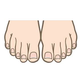 自分の体の最強・最弱な部分