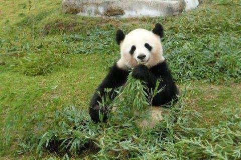 動物園好きな人〜