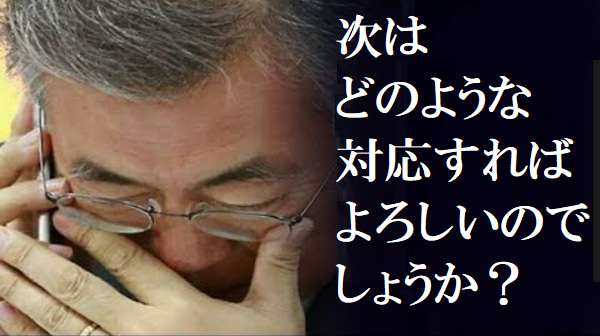 希望のたね基金（慰安婦問題を終わらせまい）とする団体と、挺対協の尹美香代表（合意の行き先はゴミ箱だ）と言った人が日本の議員会館で - 文明のターンテーブルThe Turntable of Civilization
