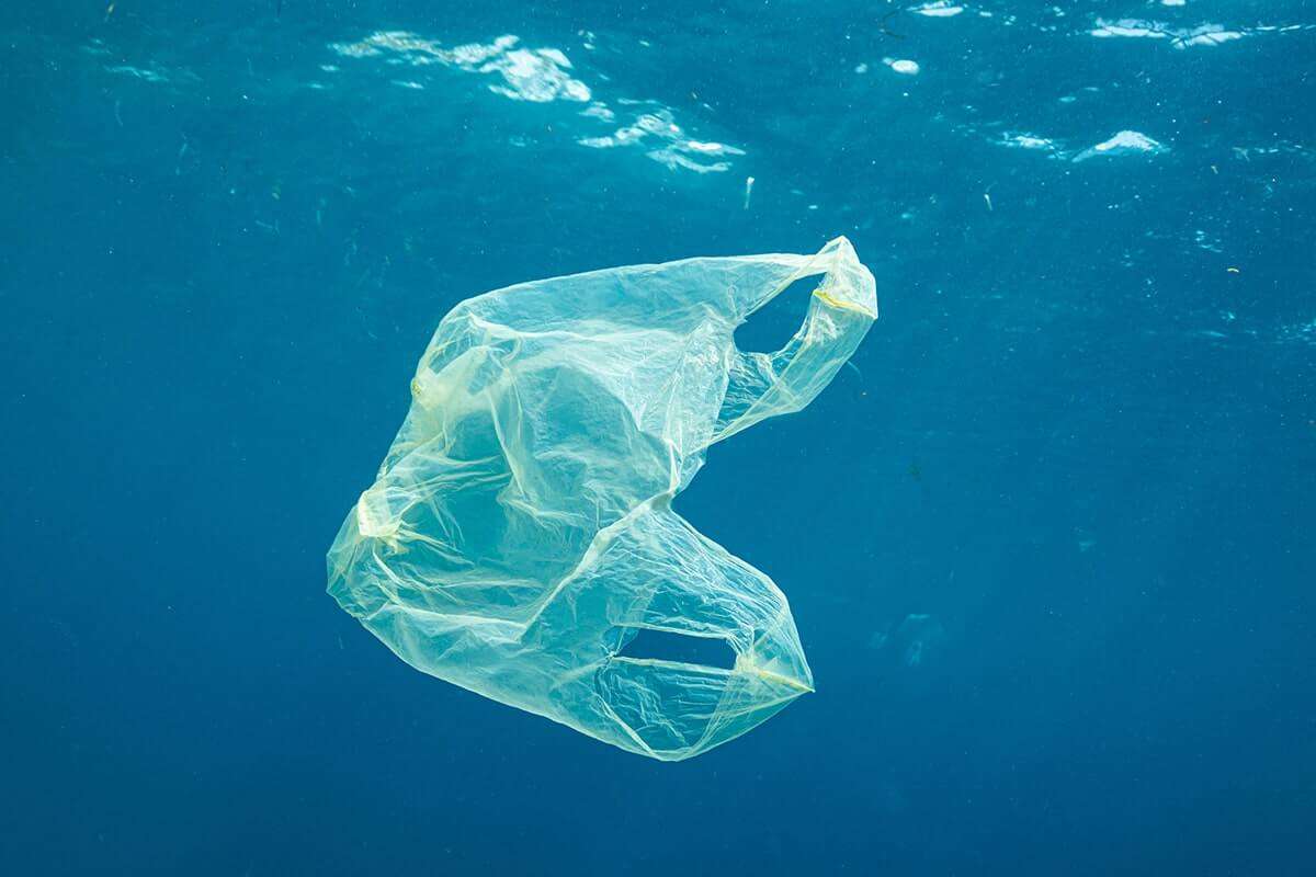 レジ袋有料化がなぜ「環境にやさしい」につながる？　海洋物理学の専門家に聞く、海ゴミとプラスチックの行方 - wezzy｜ウェジー