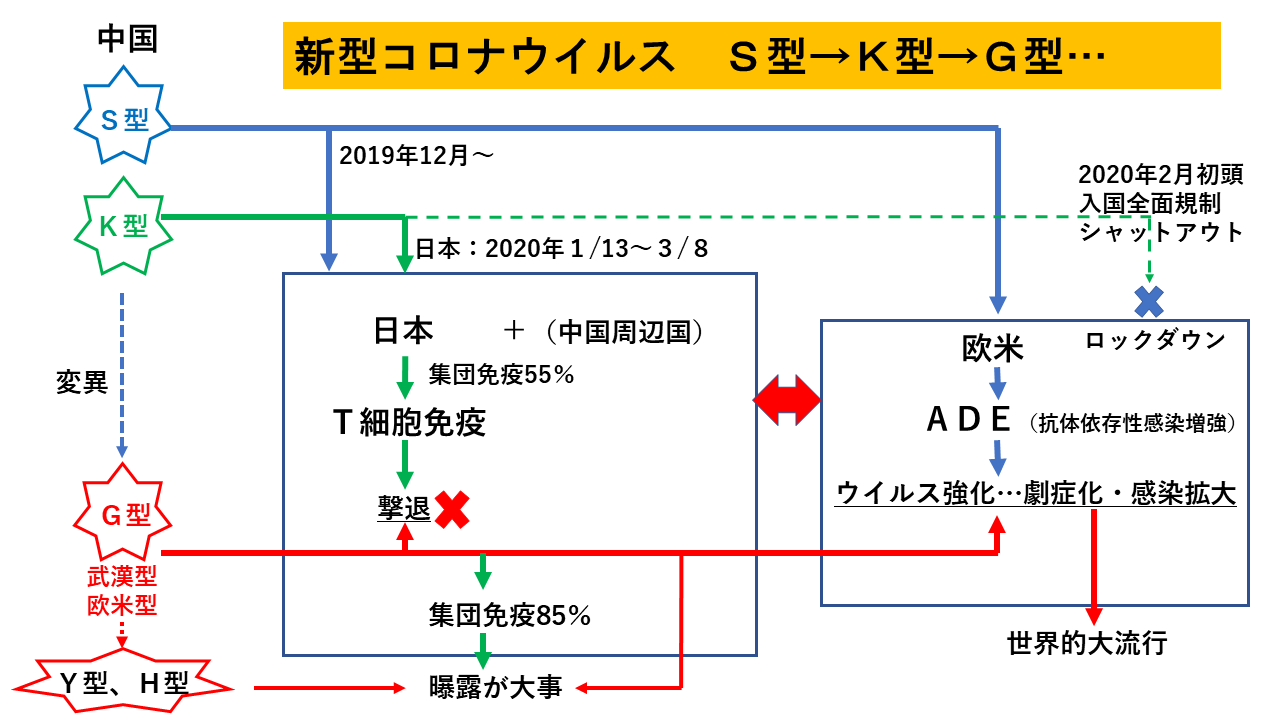 日本では既に「集団免疫が達成」されている～新型コロナの真相を解明した上久保－高橋説～ | 松田学オフィシャルブログ Powered by Ameba