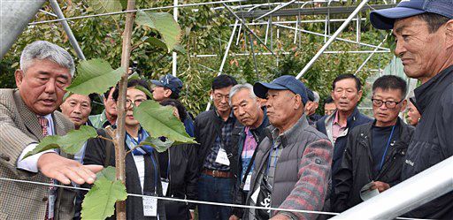 日韓関係悪化…でも絆は不変、南部町で交流｜農林水産｜青森ニュース｜Web東奥
