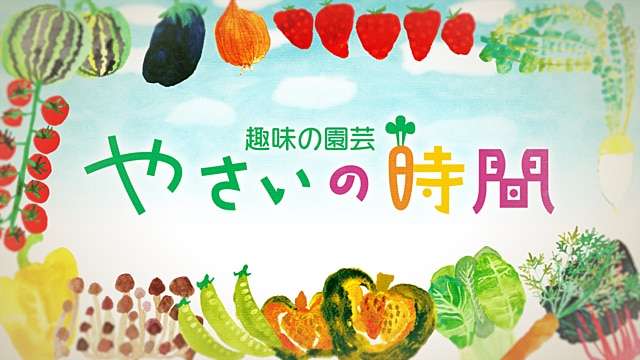 趣味の園芸 やさいの時間 - NHK