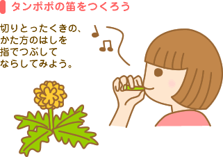 野草で遊んだ思い出を語ろう
