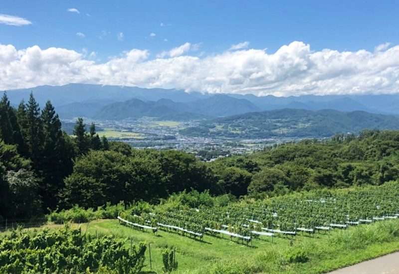 長野県のおすすめスポット教えて