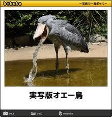 【まじで⁉】個人的に地味に感動したこと
