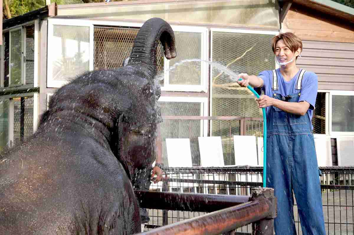 １０・３スタートの日テレ相葉「どうぶつ園」のレギュラー発表…藤岡弘、一家＆丸山桂里奈＆「美　少年」那須雄登 : スポーツ報知