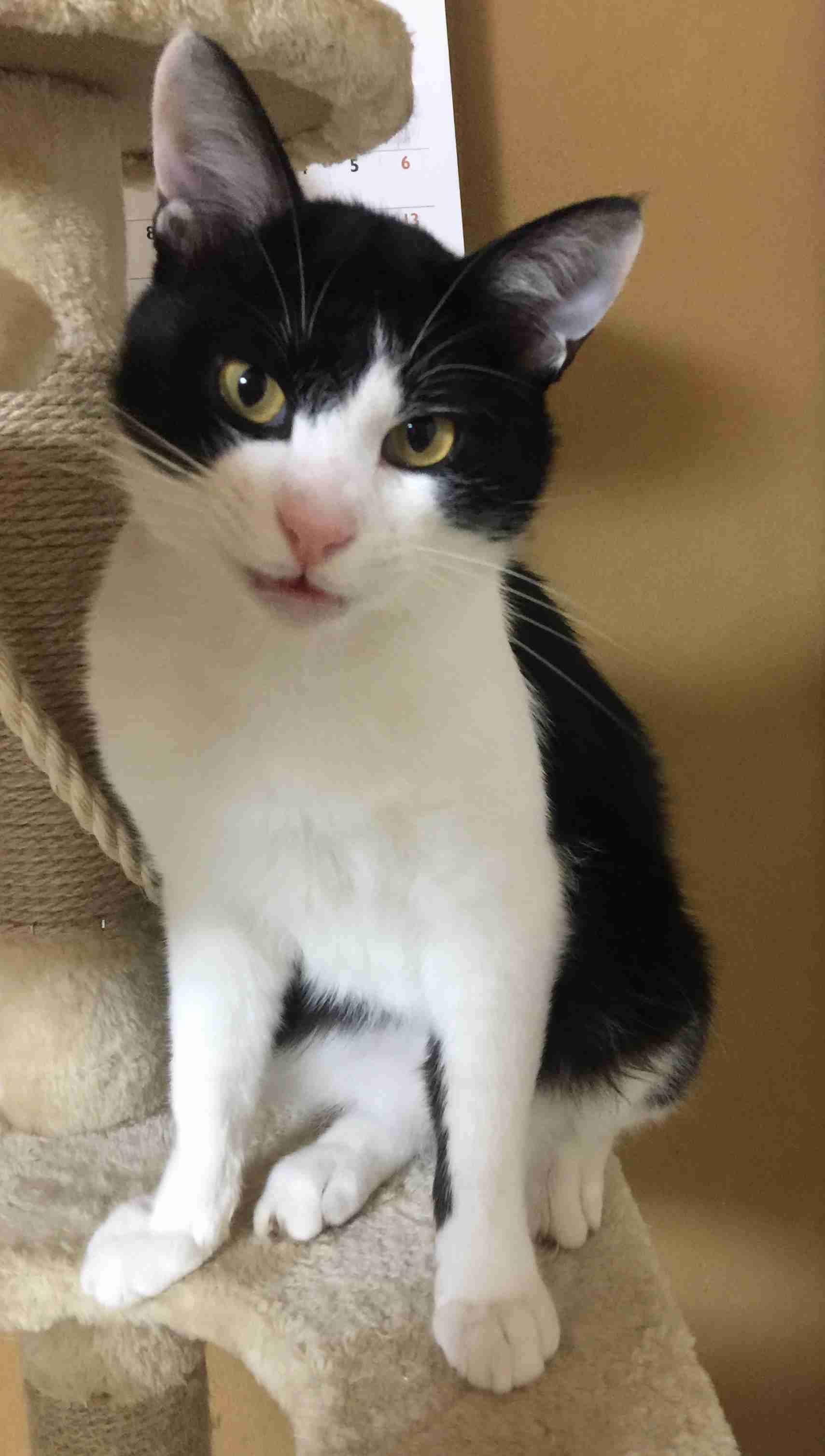 hideについて語りましょう！