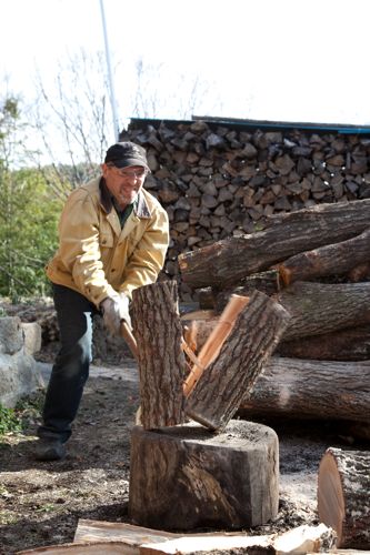 「縦割り110番」にメール3000通　河野太郎氏、反響大きく受け付け一時停止