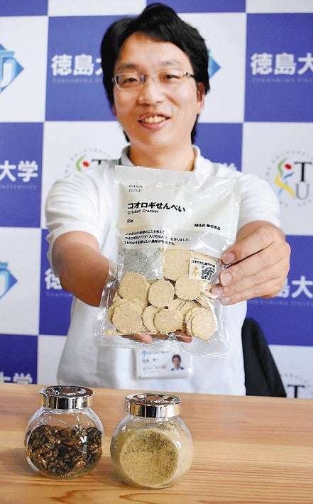 エビに似た味、環境に優しい「コオロギせんべい」売り切れ続出 : 科学・ＩＴ : ニュース : 読売新聞オンライン