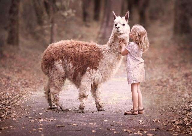 人間と動物のツーショット