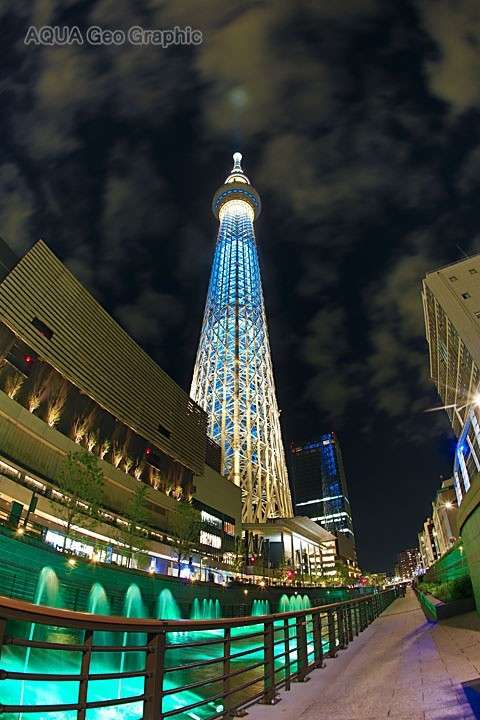 好きな夜景の画像が集まるトピ