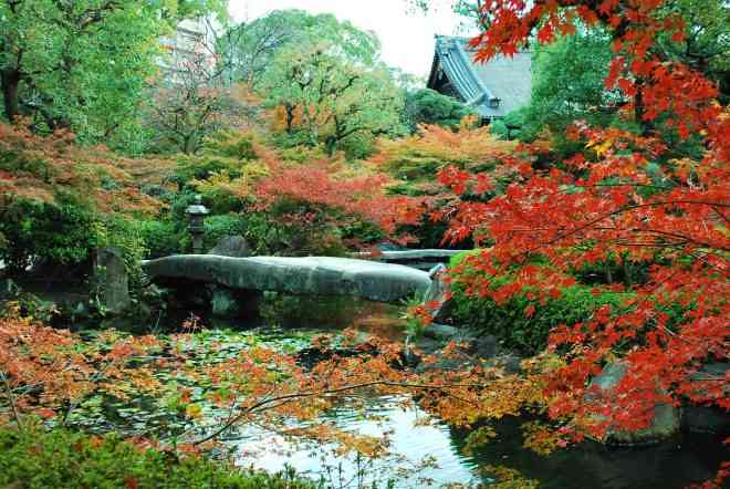 日本庭園/日本家屋が好きな人が集まるトピ