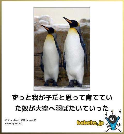 動物のboketeを貼るトピpart6