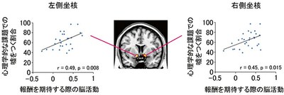 どうして正直者と嘘つきがいるのか？ －脳活動からその原因を解明－ — 京都大学