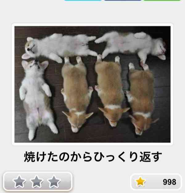 動物のboketeを貼るトピpart6