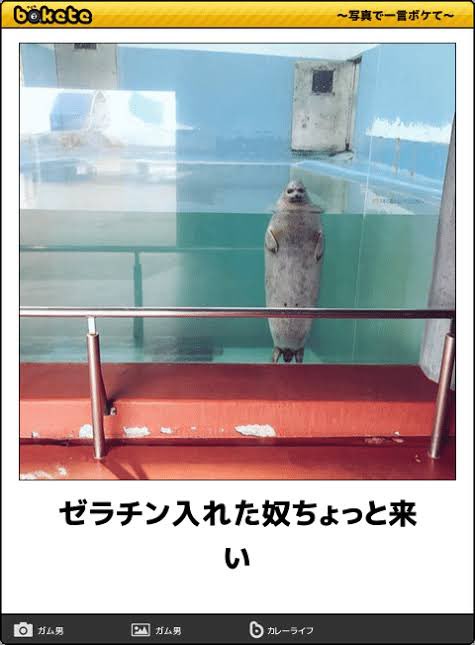 動物のboketeを貼るトピpart6