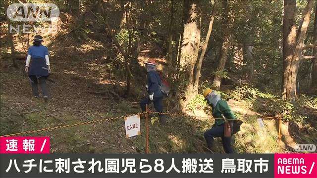 「スズメバチに刺された」園児ら8人搬送　鳥取市
