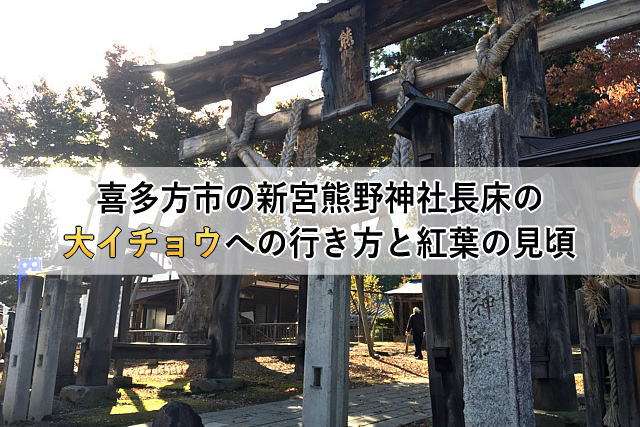 喜多方市の新宮熊野神社長床の大イチョウへの行き方と紅葉の見頃 | 心理とスピリチュアルの専門家　井上直哉オフィシャルサイト