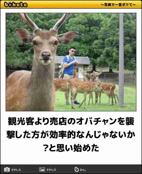 動物のboketeを貼るトピpart6