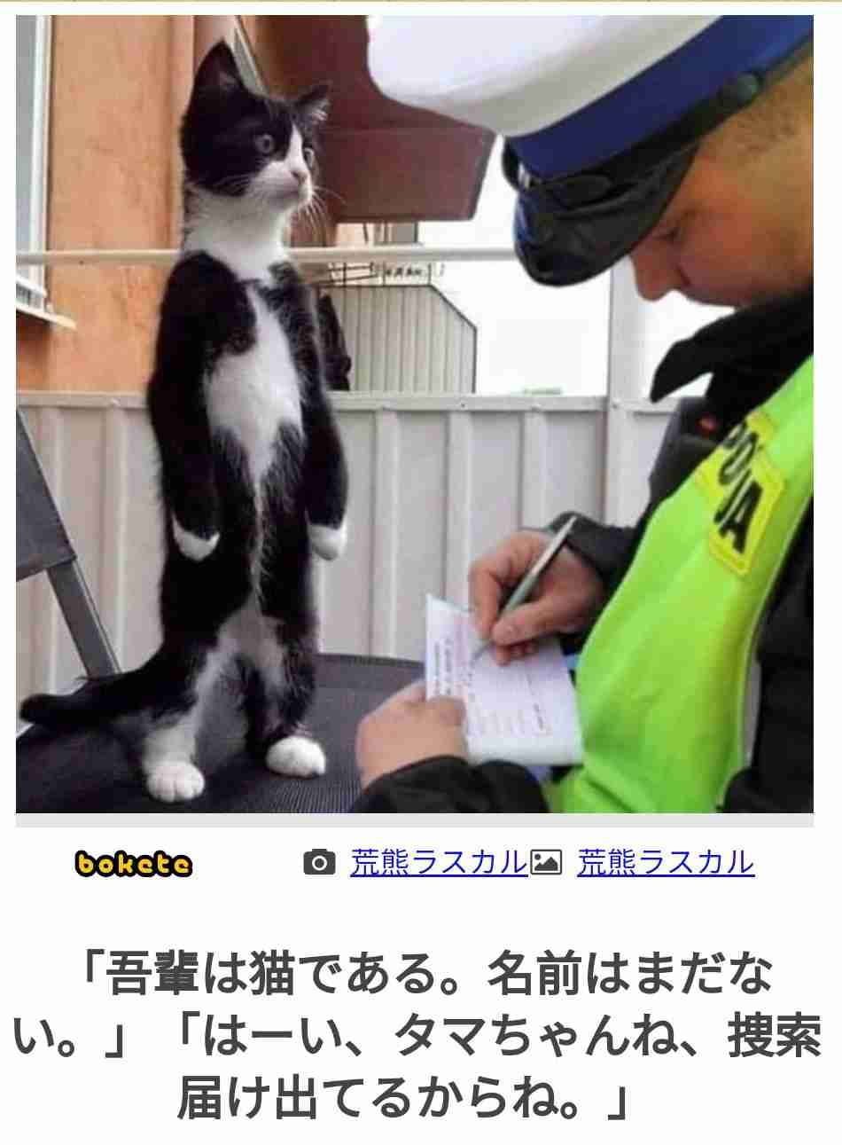 動物のboketeを貼るトピpart6