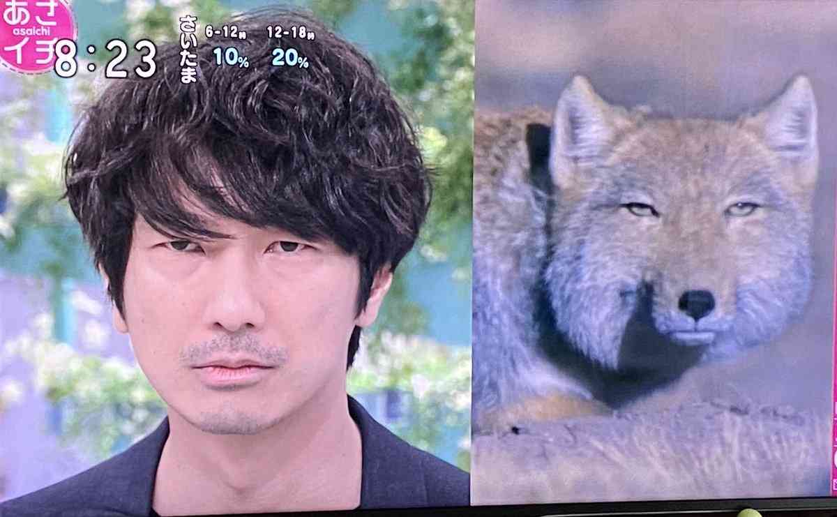 眞島秀和、チベスナ映像に大興奮「おお！」　顔似せるサービスも