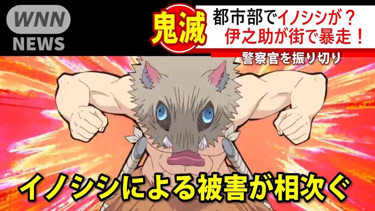 #1 【鬼滅の刃】 イノシシが暴走！？ 伊之助がニュースで話題に！ Demon Slayer Kimetsu no Yaiba - YouTube