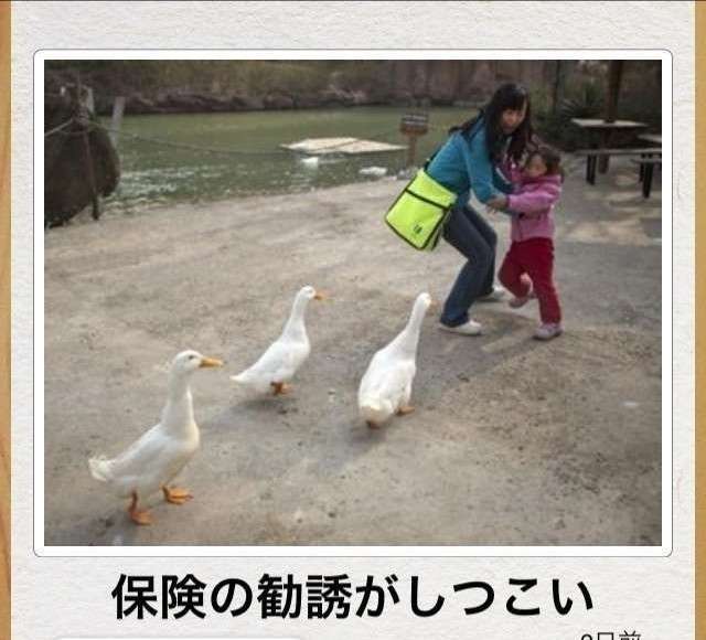 動物のboketeを貼るトピpart6