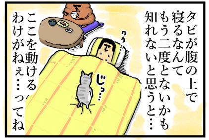 猫って謎にタイミング悪くない？？？？ : まめきちまめこニートの日常 Powered by ライブドアブログ