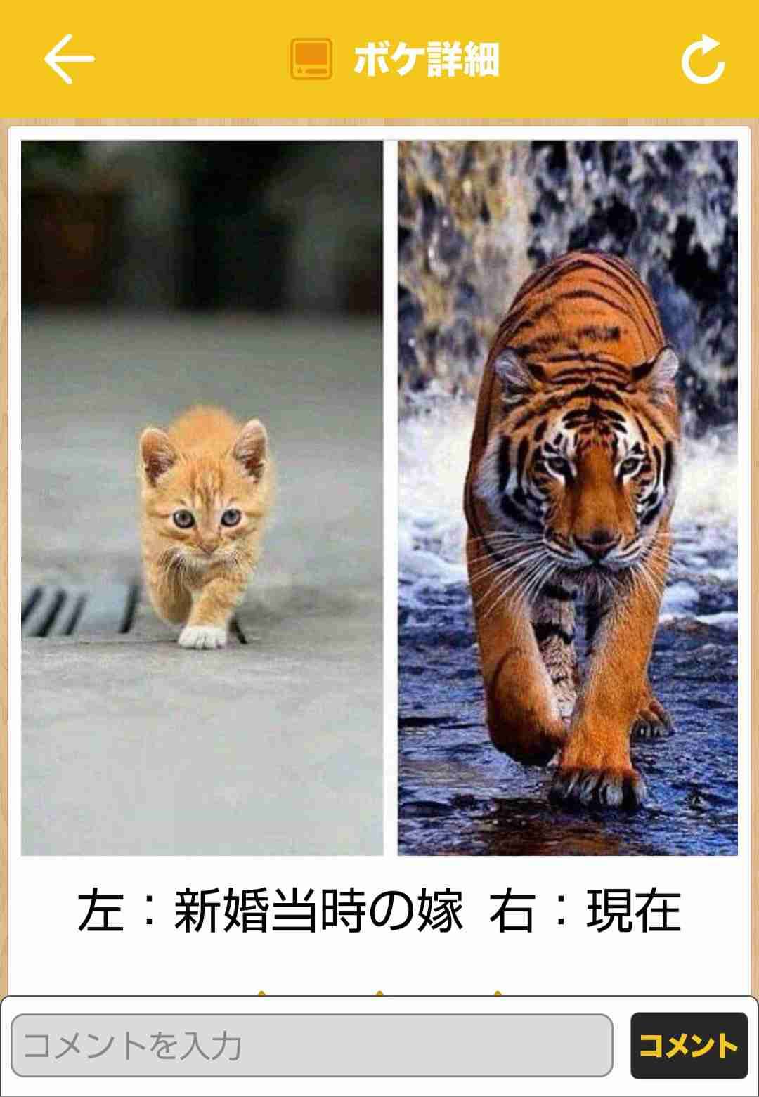 動物のboketeを貼るトピpart6
