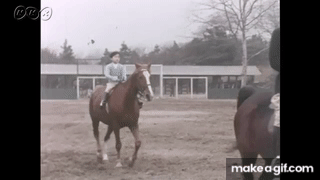 「立皇嗣の礼」、11月8日開催へ…感染症流行前の実施が適当と判断