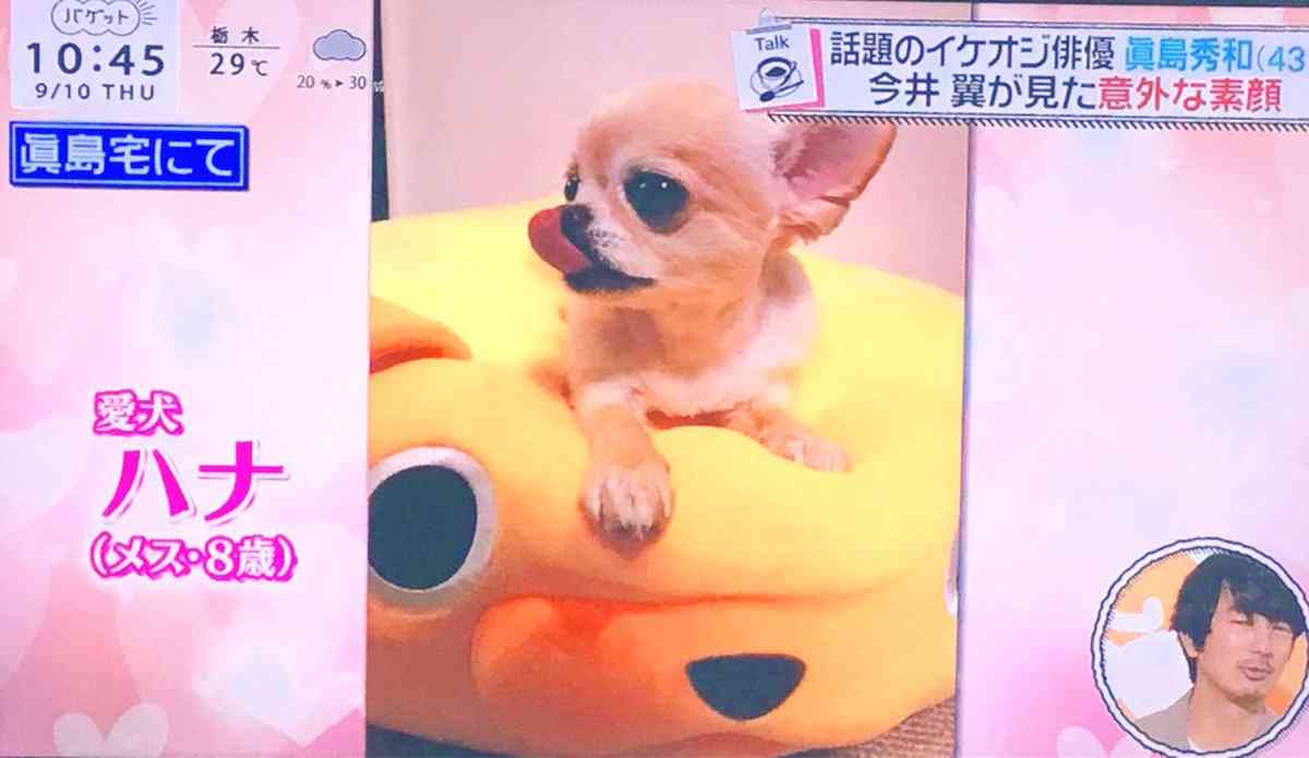 眞島秀和さんを語りましょう