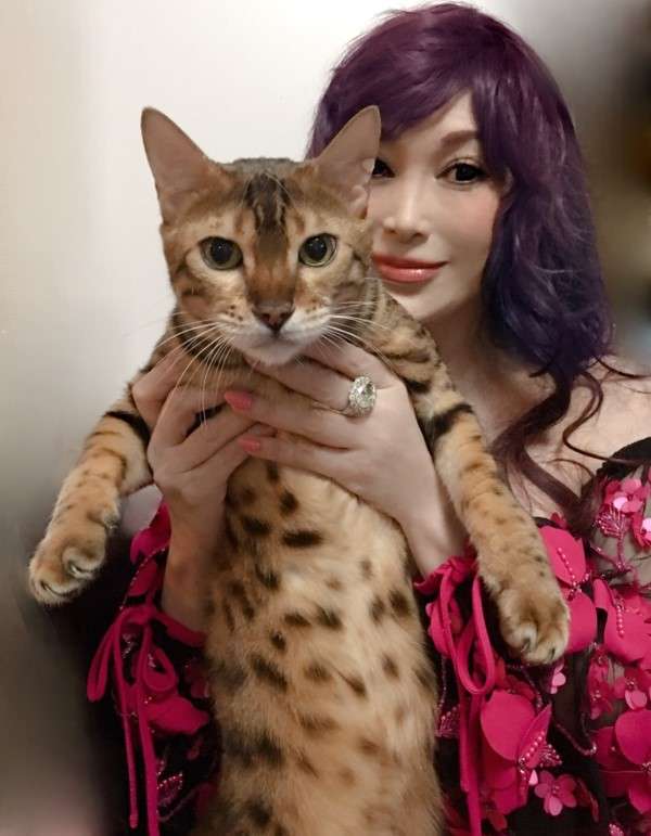 叶姉妹 どんな家に住んでいる?に「ウオークインクローゼットは150平米」「猫ちゃんの部屋は20畳」